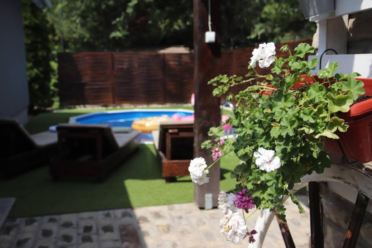 Palic Vila Masa Pr Emina Stipancevic Extérieur photo