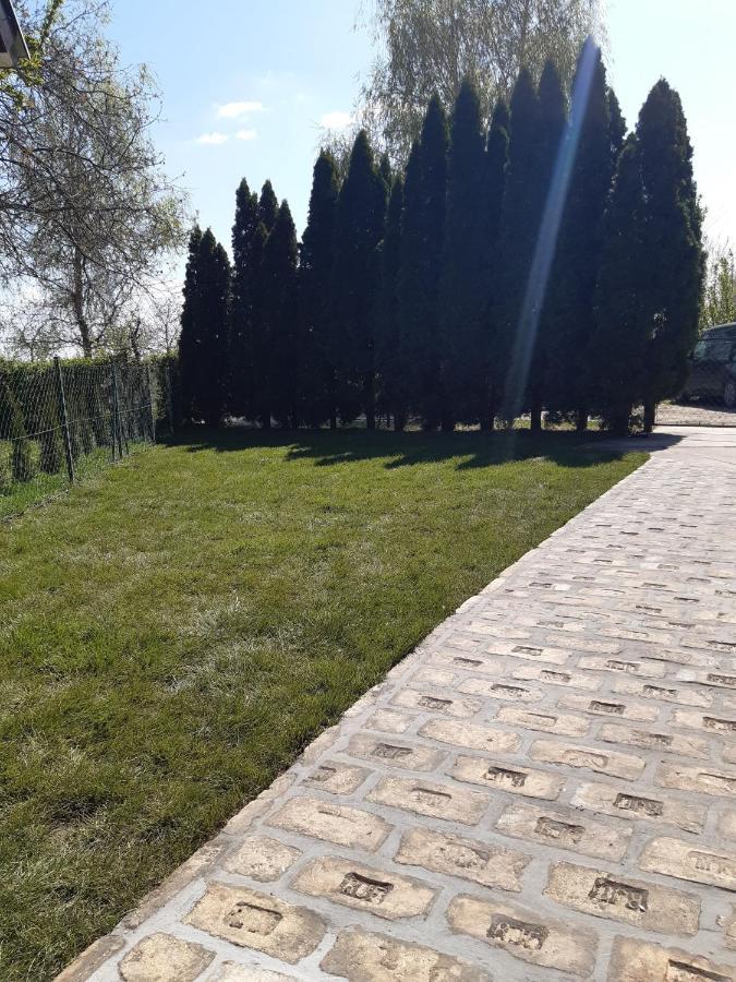 Palic Vila Masa Pr Emina Stipancevic Extérieur photo